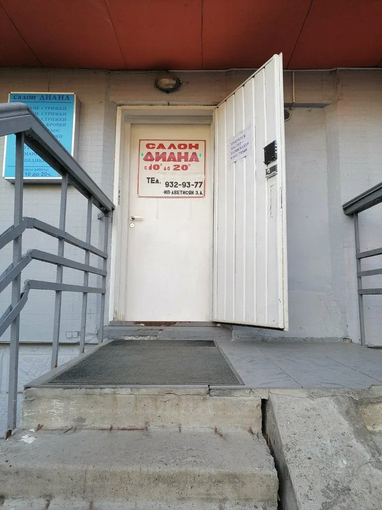 Диана — фото 4