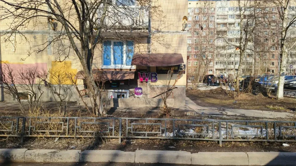 Диана — фото 4