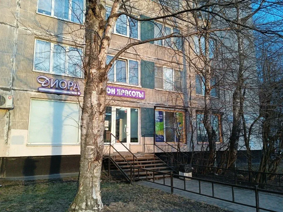Диора — фото 2
