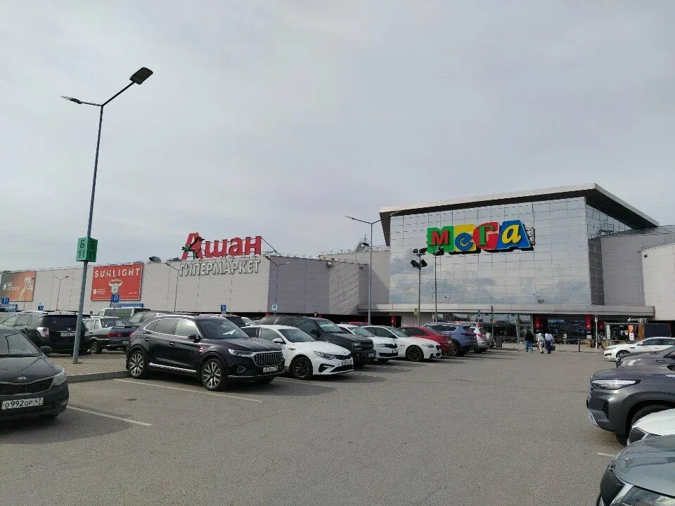Кудряшка — фото 2