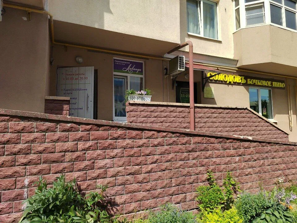 Лаванда — фото 3