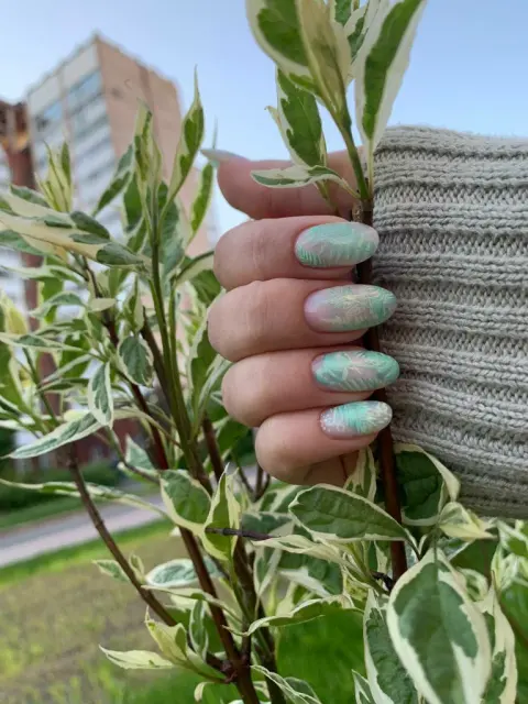 Лакмус