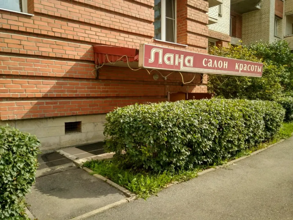 Лана — фото 6