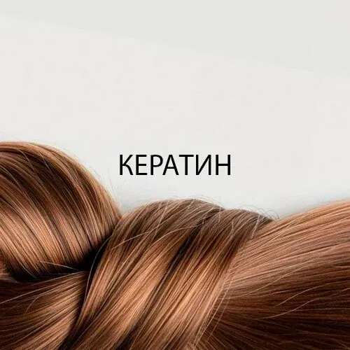 Львиное сердце — фото 5
