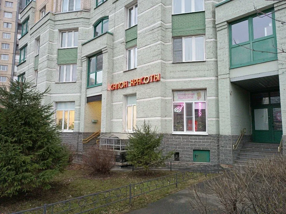 Маникюрные кошки — фото 2