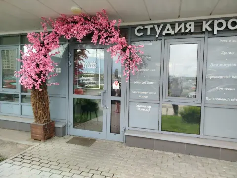 Милли