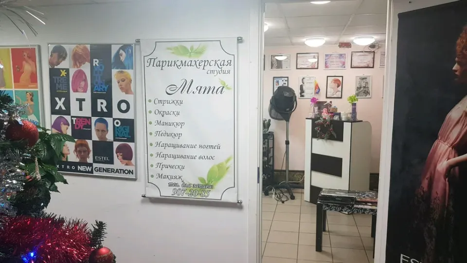 Мята — фото 4