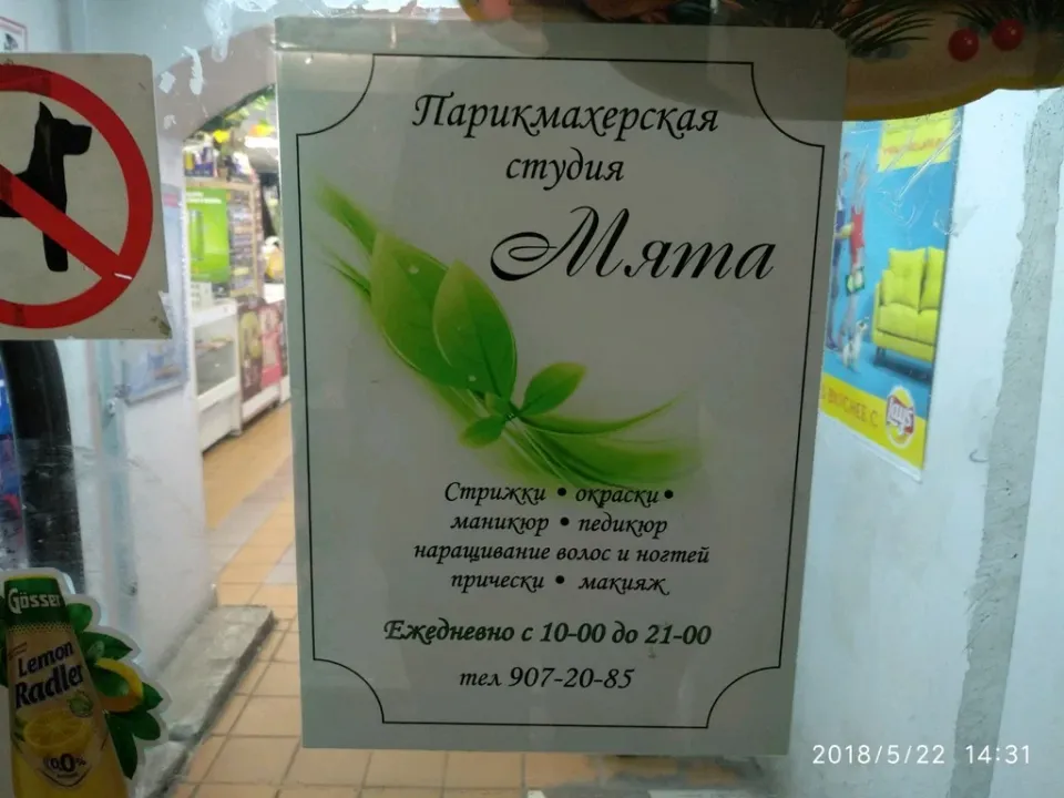 Мята — фото 6