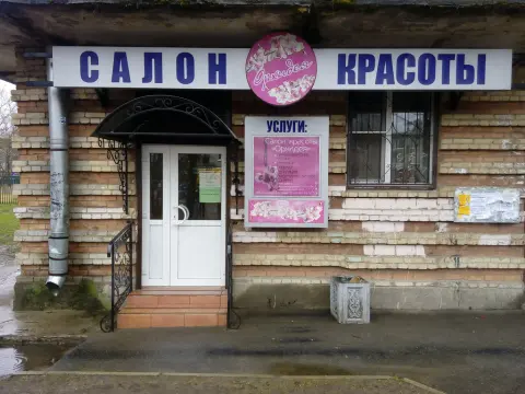 Орхидея