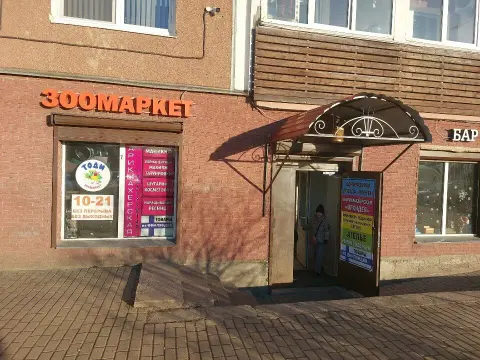 Орхидея