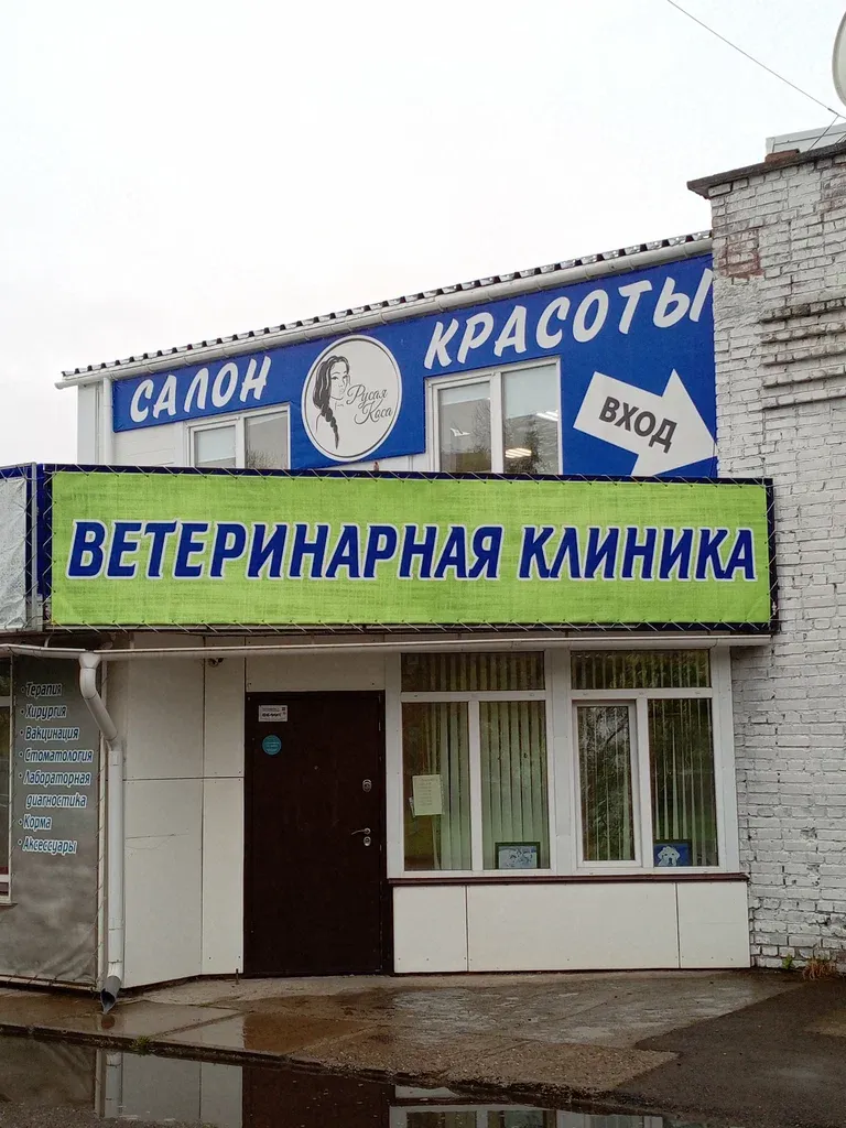 Русая коса — фото 1