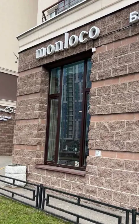 Платонова колорист