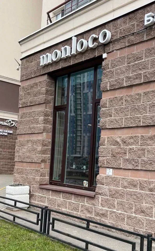Платонова колорист — фото 1