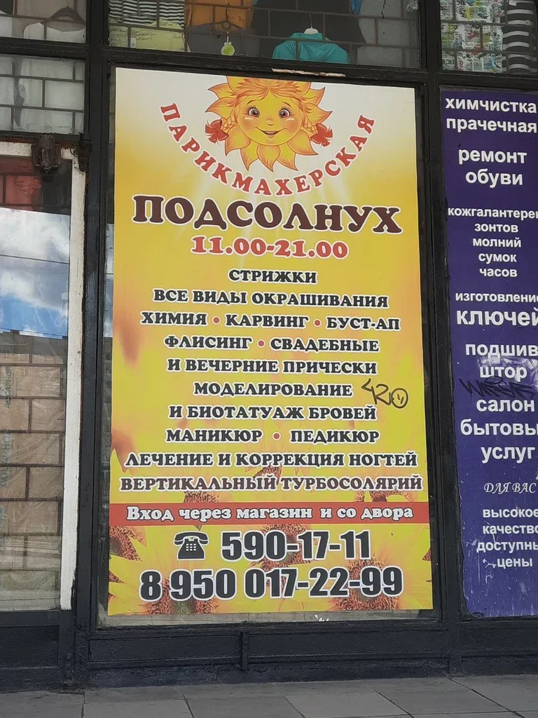 Подсолнух — фото 1
