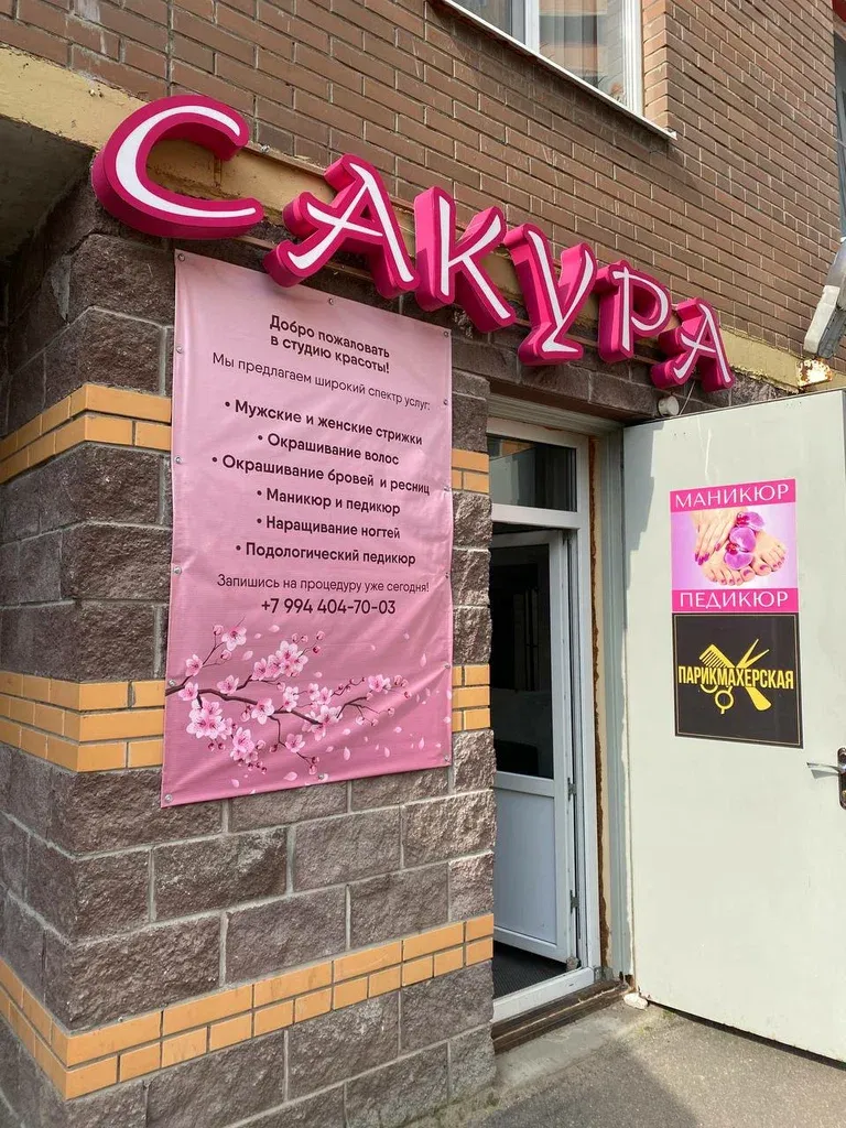 Сакура — фото 2