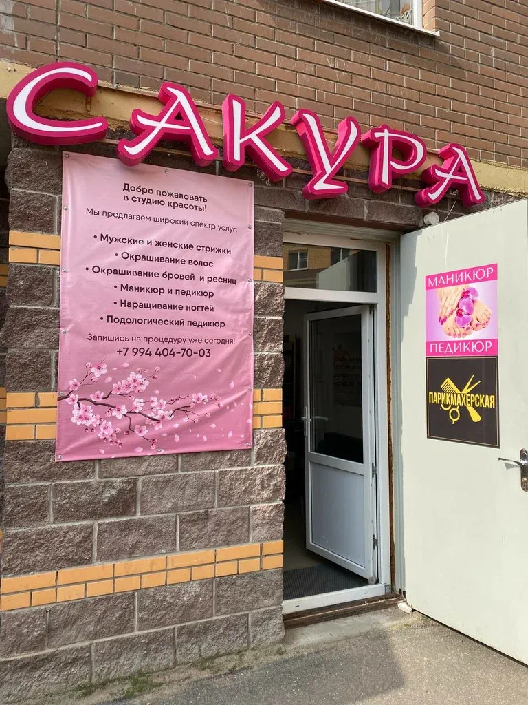 Сакура — фото 3