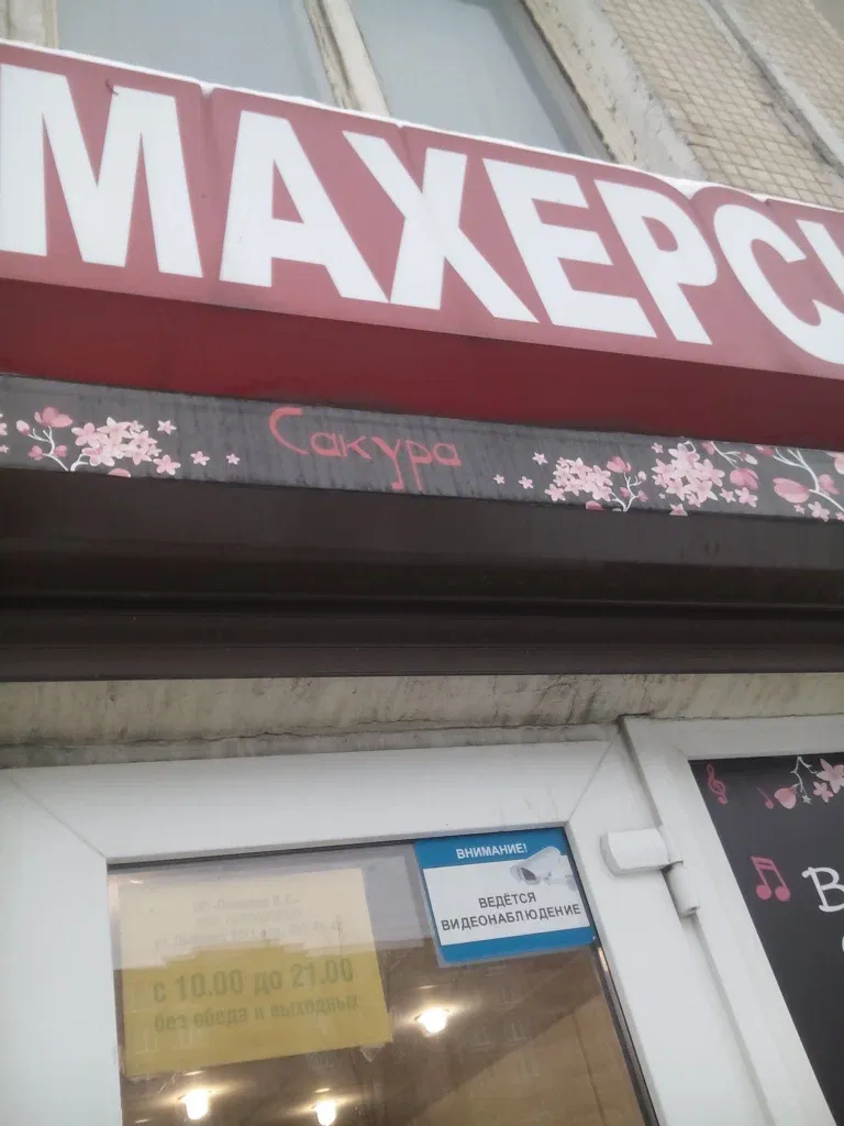 Сакура — фото 3