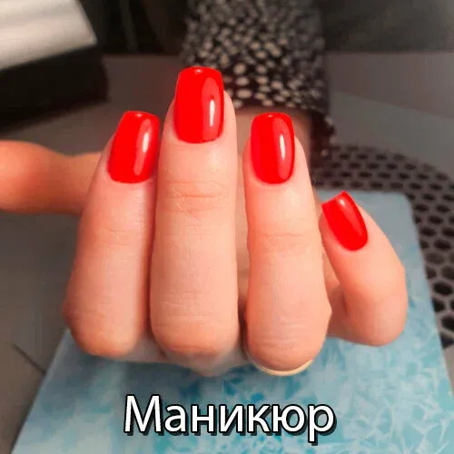 Сандра — фото 2