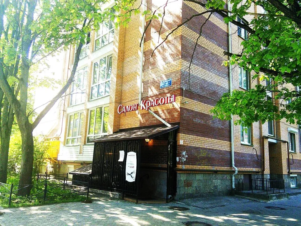 Серебряные Ножницы — фото 2