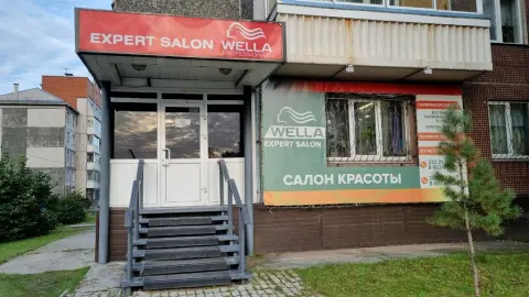 Expert salon wella
