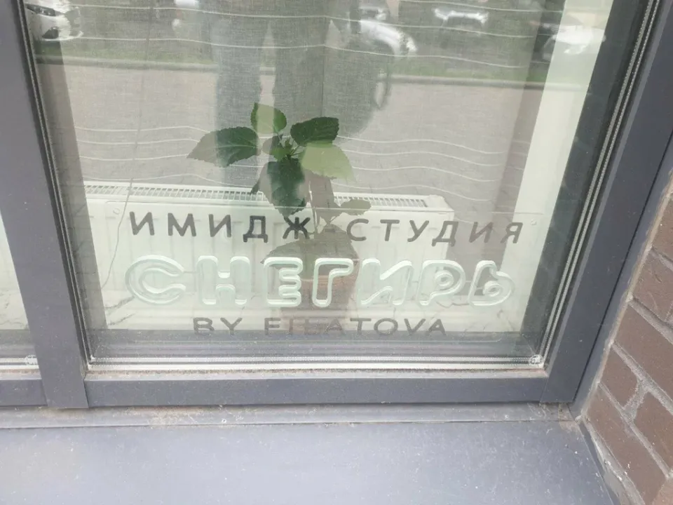 Снегирь бай Филатова — фото 6