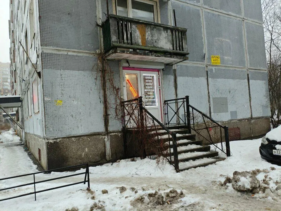 Сова — фото 2