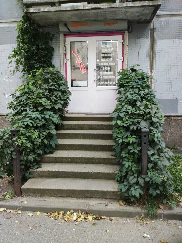 Сова — фото 3