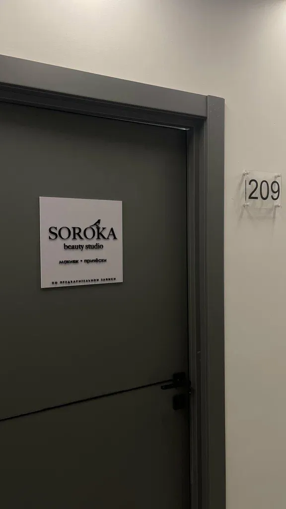 Сорока — фото 4