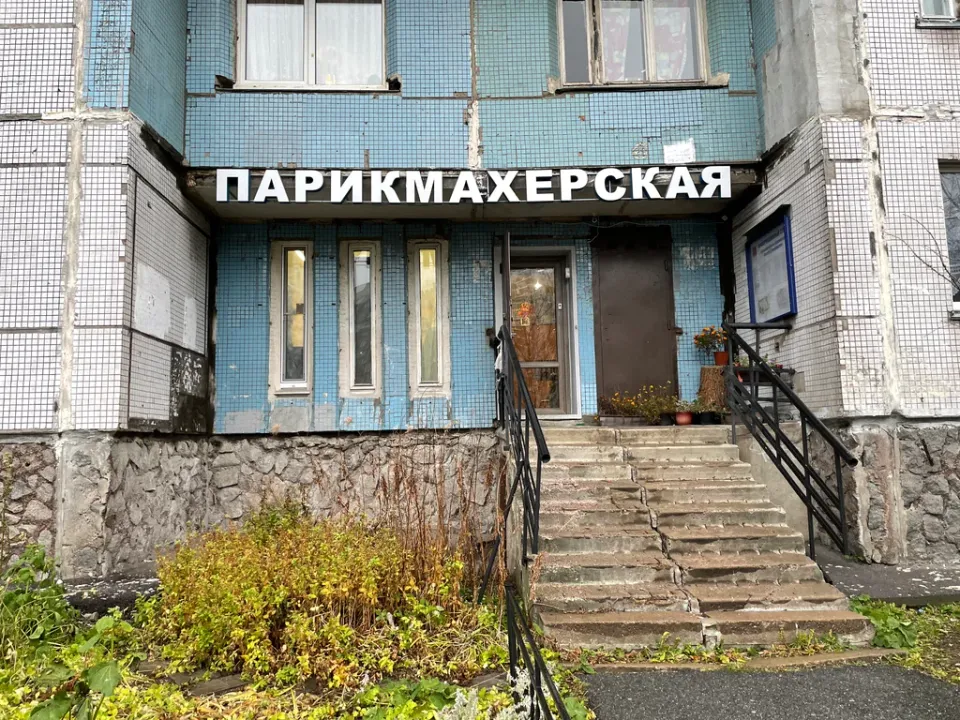 СорокА — фото 2