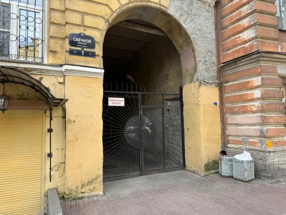 Стелла — фото 6