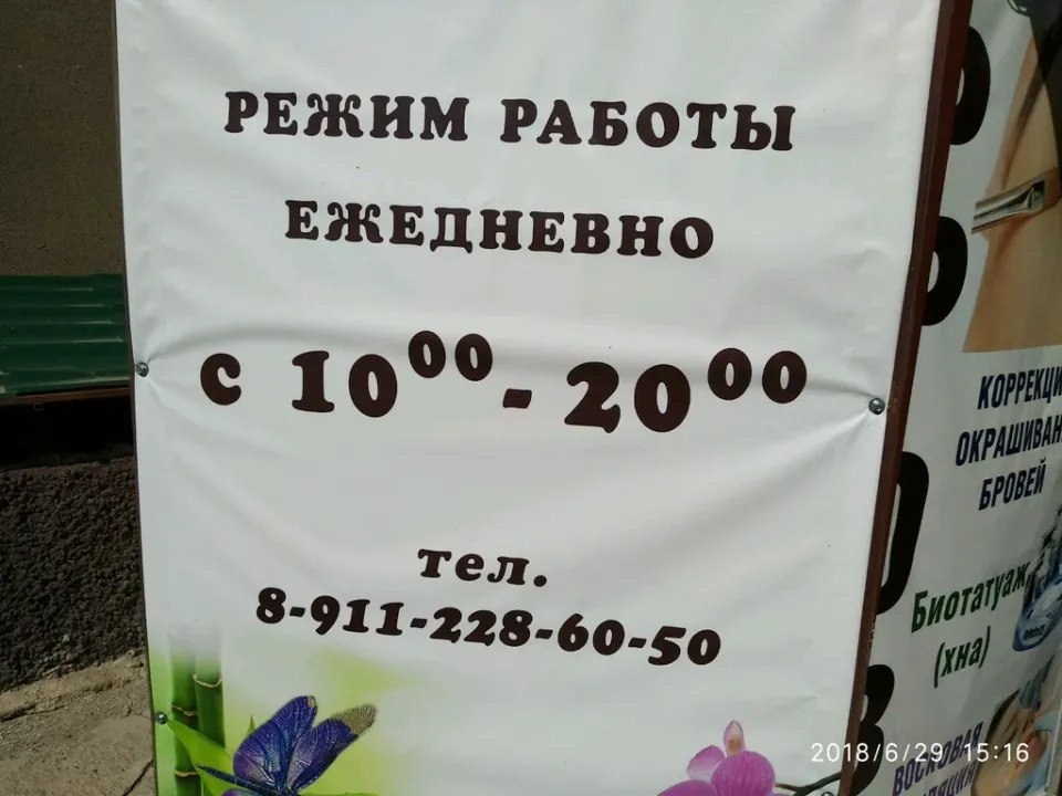 Стрекоза — фото 5