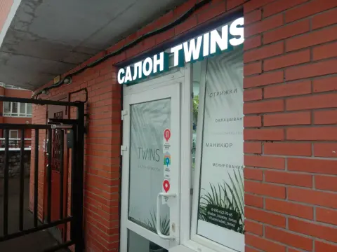 Твинс