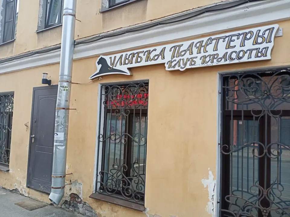 Улыбка пантеры — фото 2