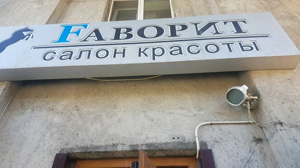 Фаворит — фото 3