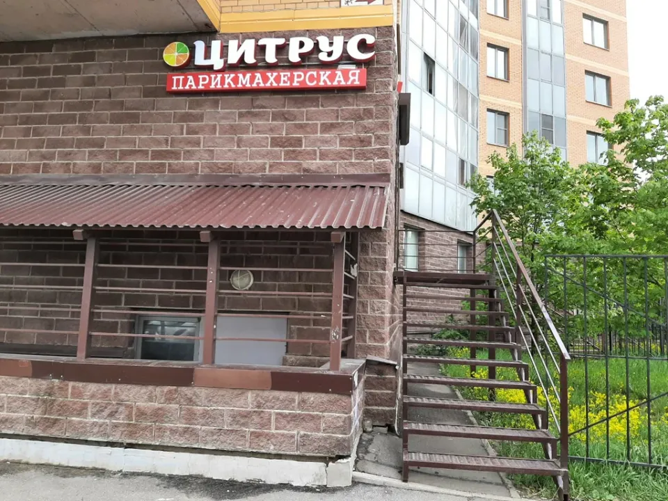 Цитрус — фото 2