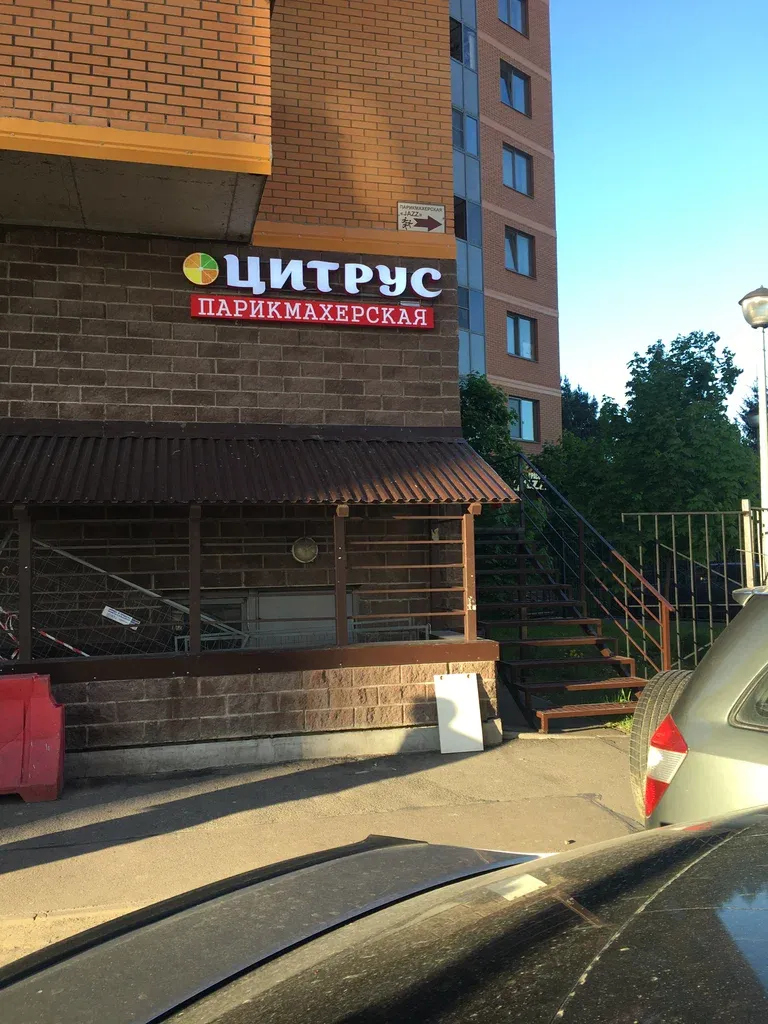 Цитрус — фото 3