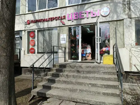Чио Чио
