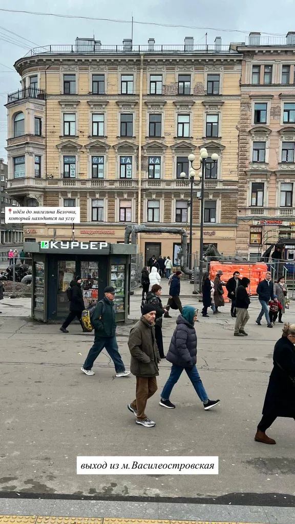 Эвелина Маслова брови — фото 3
