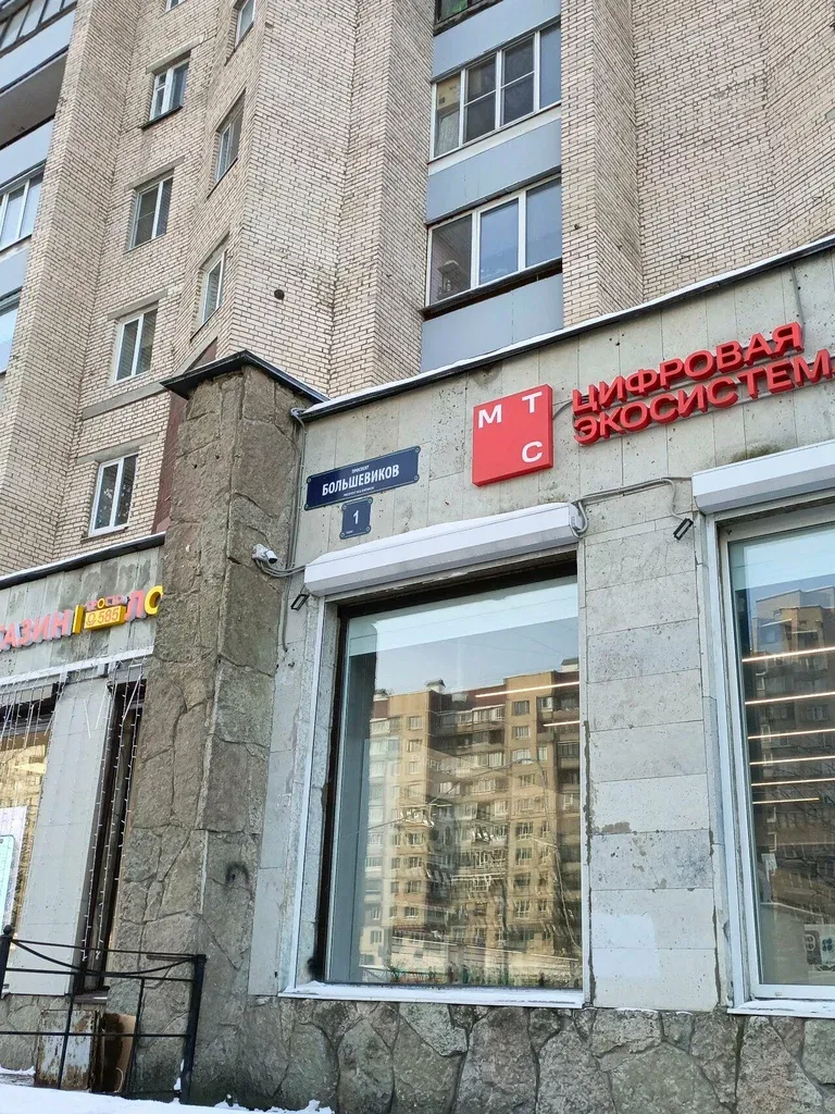 Эдельвейс — фото 2