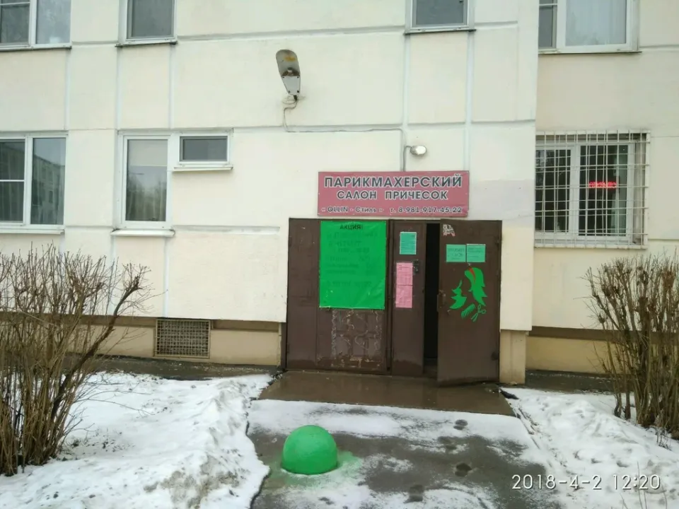 Эльза — фото 1