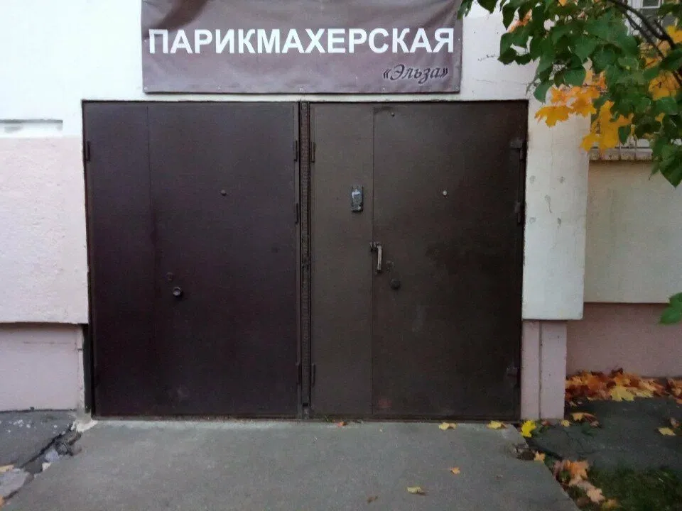 Эльза — фото 4