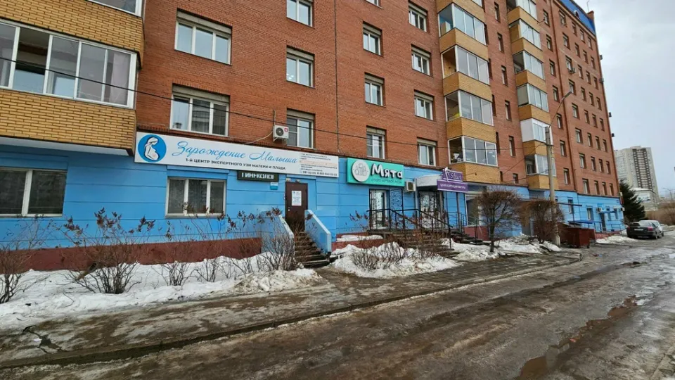 Мята — фото 3