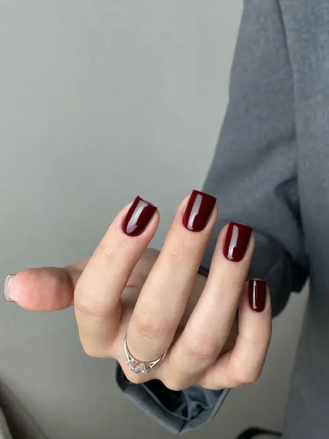 Dikaya Lisssa studio