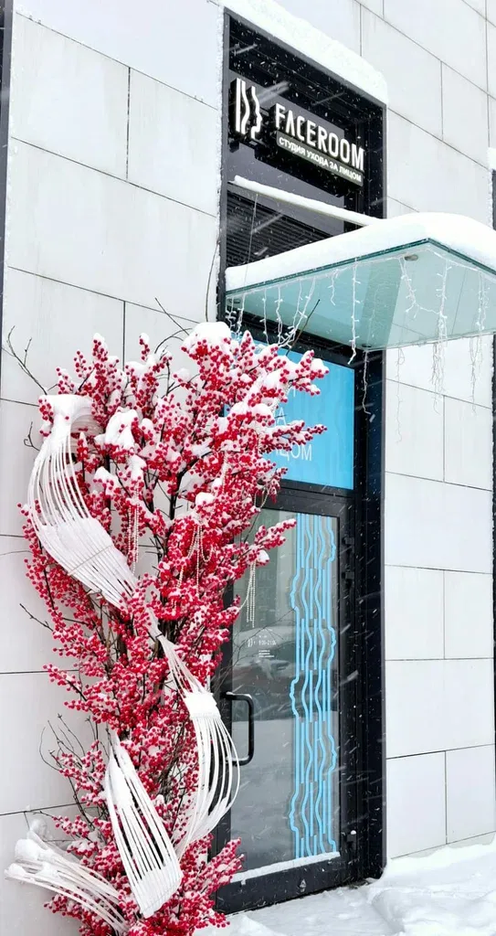 FaceRoom — фото 5