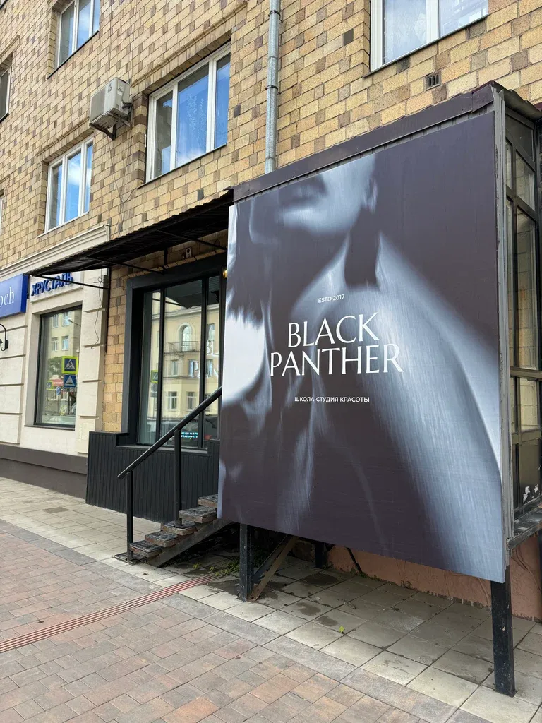 Black Panther — фото 2