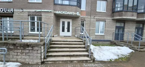 Jackdaws