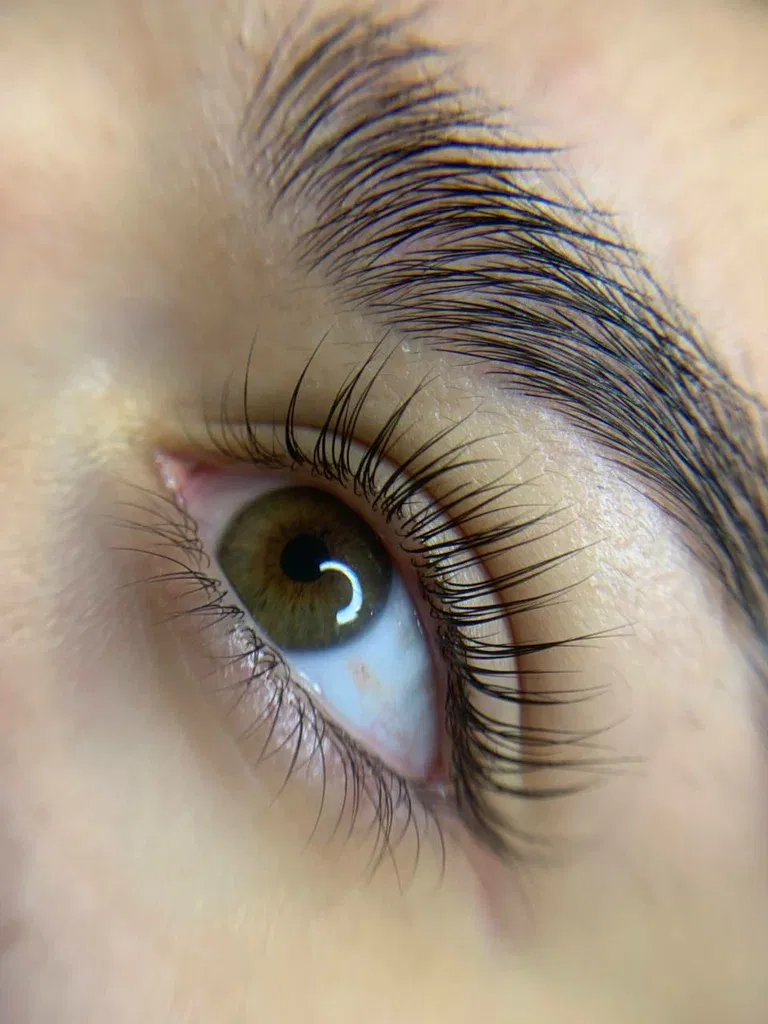 Karapetyan_brows — фото 3