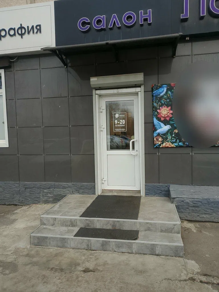 Лаванда — фото 5