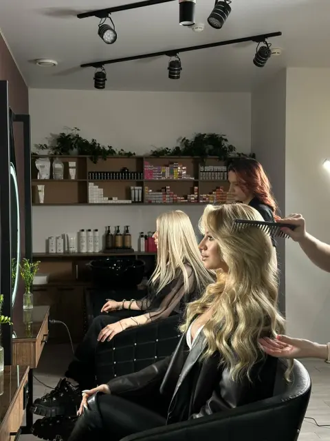 Volgin_colorist